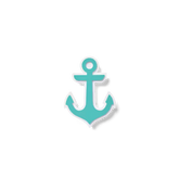 Bogg Bit - Turquoise Anchor